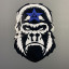 BlueStarr Grappling