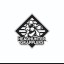 capo mix martial arts