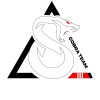 Cobra Team