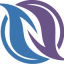N-Flux