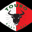 Touro Cayey BJJ