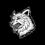 Wolves Den Jiu Jitsu